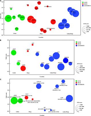 Genetics of Spontaneous Intracerebral Hemorrhage: Risk and Outcome